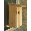 Backyard Boys Woodworking BBW55 Window Mount Bird House