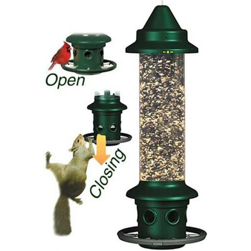 Brome 1024 Squirrel Buster Plus Wild Bird Feeder with Cardinal Perch Ring.