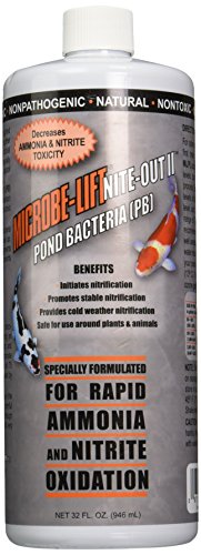 eco labs nite32 microbe