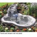 Algreen Superfluid 1300 and 306GPH Pond Water Pump for Gardening