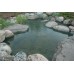 Aquascape 98002 Protective Pond Netting by Aquascape 28' x 30'
