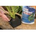 Aquascape Aquatic Plant Pots for Pond and Water Garden, 8-inch x 6-inch, Black, 2-Pack | 98502