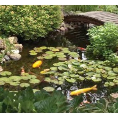 AquascapePRO AquascapePRO Medium 11' x 16' Pond Kit w/AquaSurge PRO 2000-4000