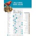 Aududon Park 12231 Cardinal Blend Wild Bird Food, 4-Pounds Aududon Park 12231 Cardinal Blend Wild Bird Food, 4-Pounds