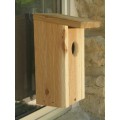 Backyard Boys Woodworking BBW55 Window Mount Bird House