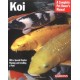 Koi (Complete Pet Owner's Manual)