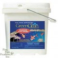 BioSafe Systems 3015-20 GreenClean Granular Algaecide, 20 lbs.