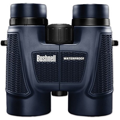 Bushnell H2O Waterproof/Fogproof Roof Prism Binocular, 10 x 42-mm, Black