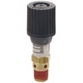 Control Devices CR Series Brass Pressure Relief Valve, 0-100 psi Adjustable Pressure Range, 1/4" Male NPT