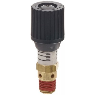 Control Devices CR Series Brass Pressure Relief Valve, 0-100 psi Adjustable Pressure Range, 1/4" Male NPT