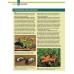 Garden Ponds, Fountains & Waterfalls for Your Home: Designing, Constructing, Planting (Creative Homeowner) Step-by-Step Sequences & Over 400 Photos...