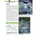 Garden Ponds, Fountains & Waterfalls for Your Home: Designing, Constructing, Planting (Creative Homeowner) Step-by-Step Sequences & Over 400 Photos...