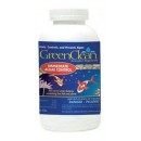 GreenClean Granular Algaecide 2 pounds