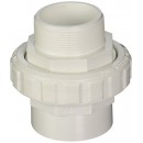 Hayward SP14983S 2-Inch MIP by 2-Inch Socket White PVC Flush Male/Female Socket Union