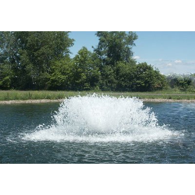 3HP Aerator (50')