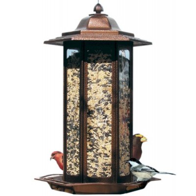 Birdscapes 366 Tall Tulip Garden Lantern Bird Feeder