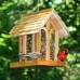 Birdscapes 50172 Mountain Chapel Bird Feeder