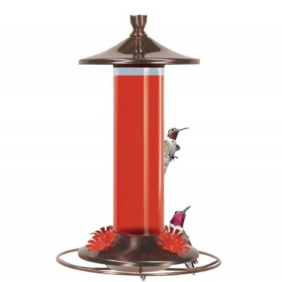 Birdscapes 710 Brushed Metal 12-Ounce Glass Hummingbird Feeder