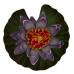 Tetra Pond Floating Water Lily (Colors may vary)