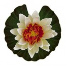 Tetra Pond Floating Water Lily (Colors may vary)