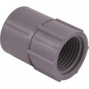 Thomas & Betts E942J 2" SCH 40 FEMALE ADAPTER (Pack of 30)