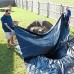 TotalPond 10 ft. x 13 ft. pond skins Pond Liner